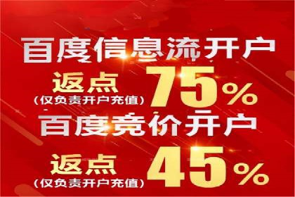 百度竞价代理的客户案例：如何实现ROI最大化